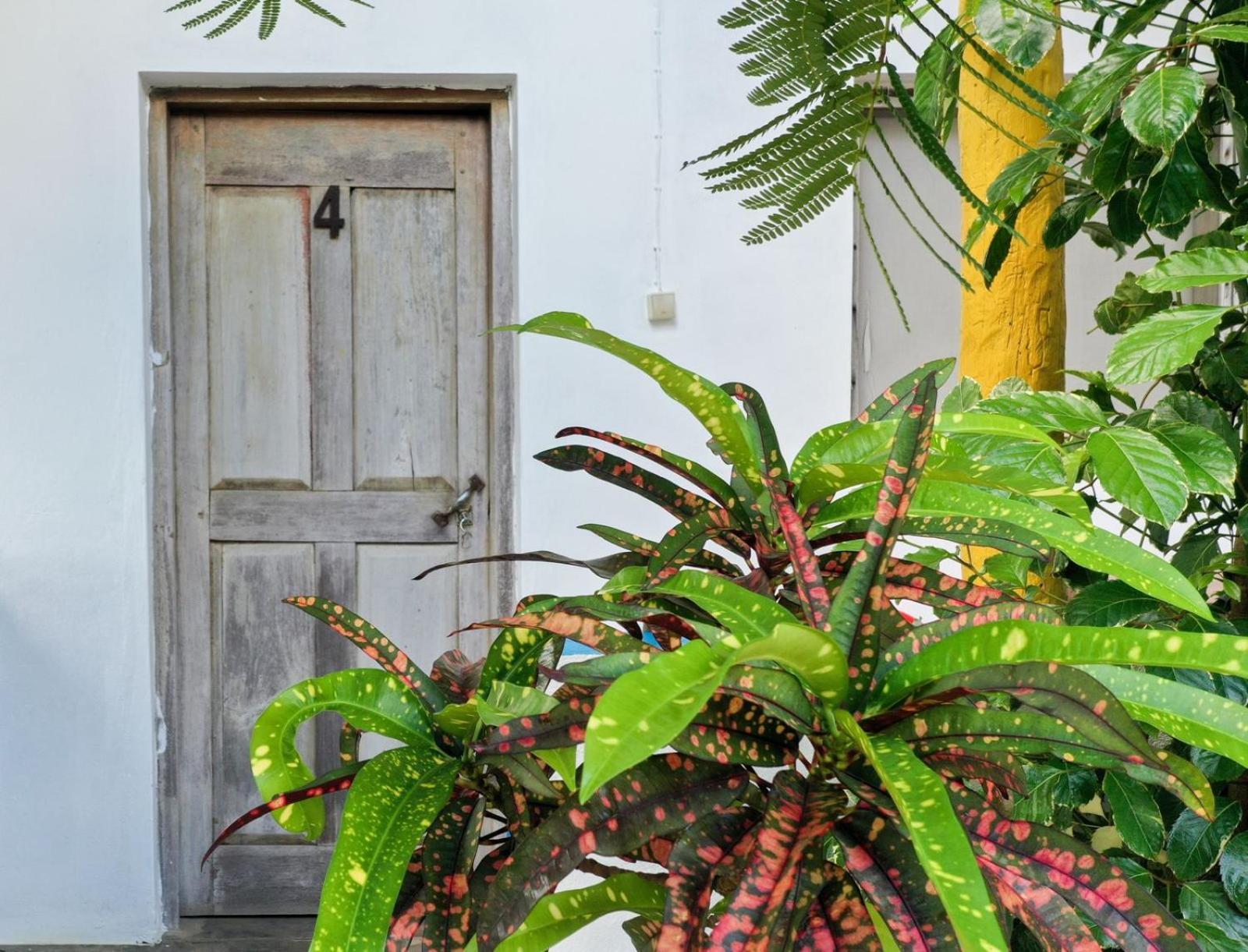 Complexo Alemanha - Vilanculos Backpacker Exterior photo